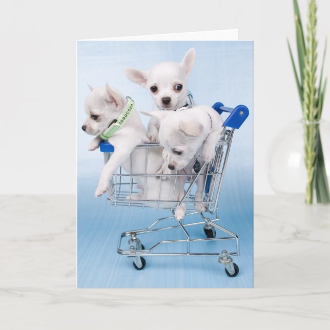 Gerade Sprichwort hallo Karte (Vorderseite)