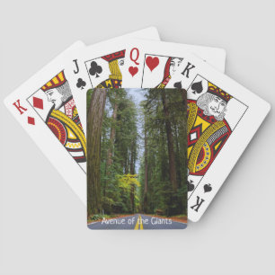 Gerade Straße voraus durch nebligen Redwood-Wald Spielkarten