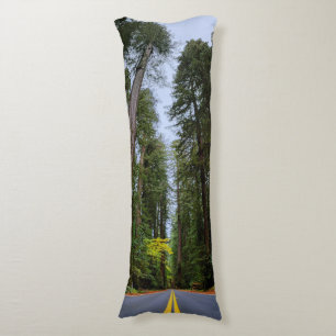 Geradeaus durch das misty Redwoods Kissen