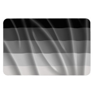 GERADES FLAGGEN-FLIEGEN - .PNG MAGNET