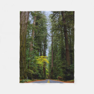 Geradewegs durch den Misty Redwood Forest-S Fleecedecke
