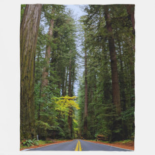 Geradewegs durch den Misty Redwood Forest-S Fleecedecke