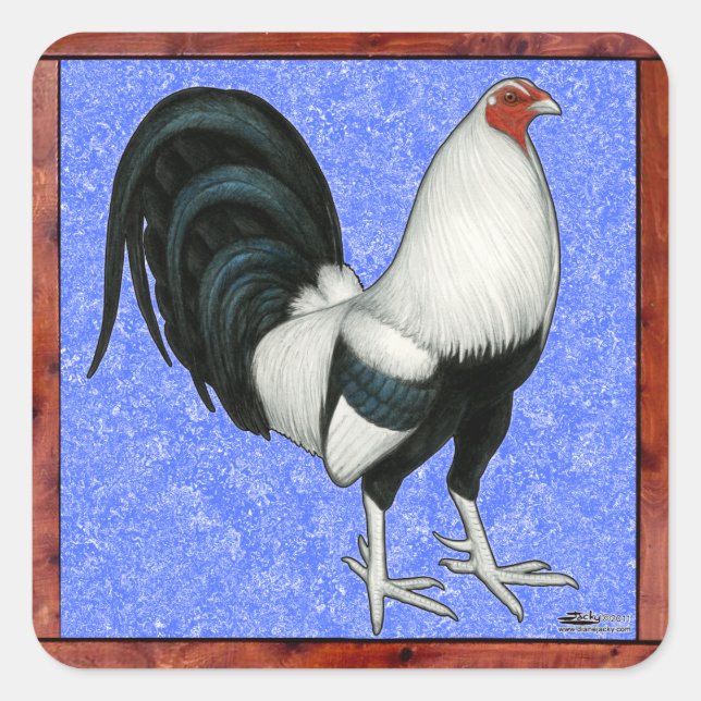 Gerahmt Gamecock Quadratischer Aufkleber (Vorderseite)