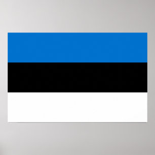Gerahmter Druck mit der Flagge Estlands Poster