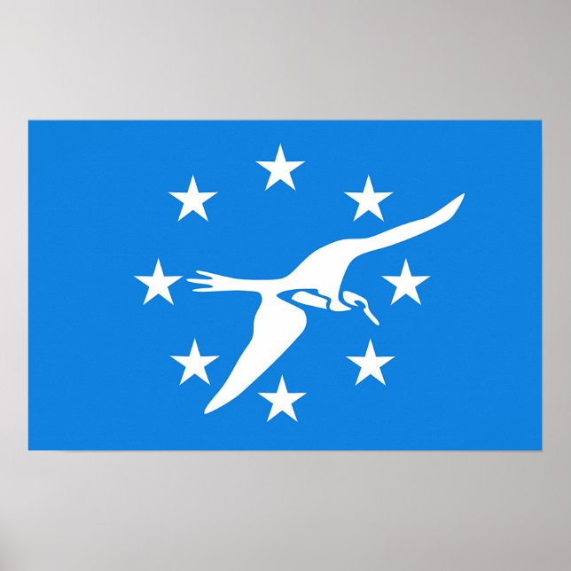 Gerahmter Druck mit Flag von Corpus Christi, USA. Poster (Vorne)