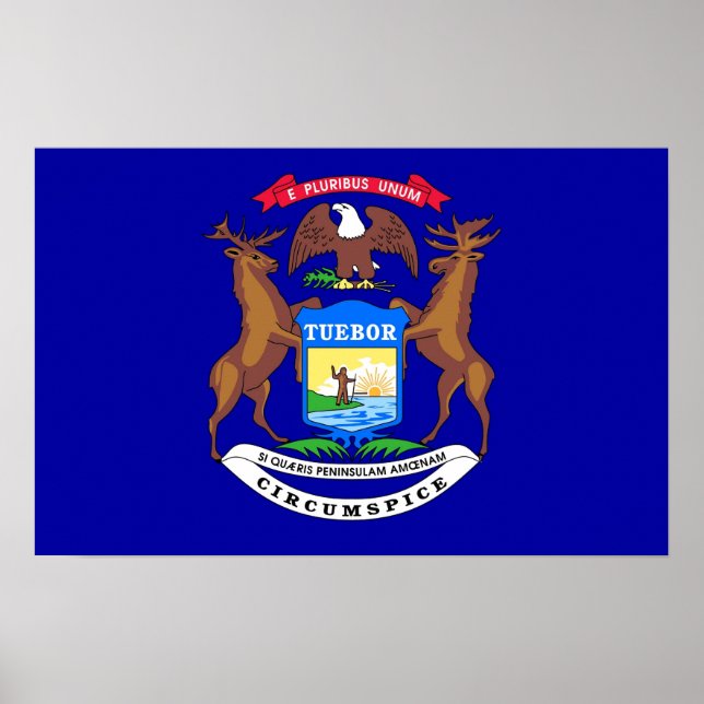 Gerahmter Druck mit Flag von Michigan, USA. Poster (Vorne)