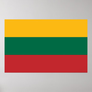Gerahmter Druck mit litauischer Flagge Poster