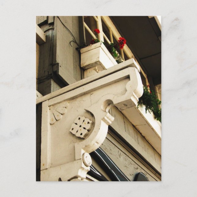 Geranien Postkarte (Vorderseite)