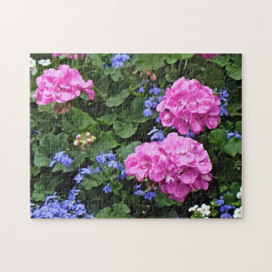 Geranien und Periwinkle