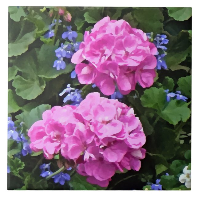 Geranien und Periwinkle Fliese (Vorderseite)