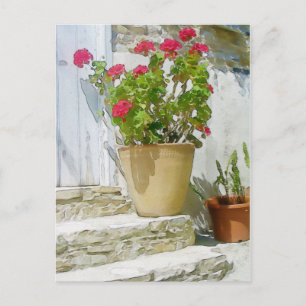 Geranine Postkarte