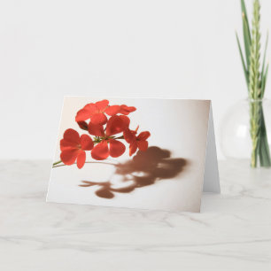 Geranium Blank Card Beileid Condolence Karte