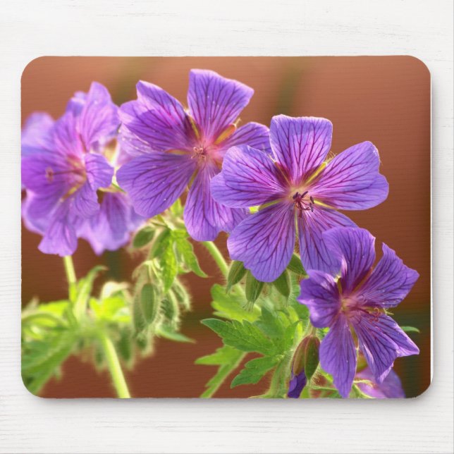 Geranium Blume Mousepad (Vorne)