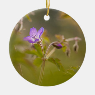 Geranium Blume Nature Foto Keramik Ornament