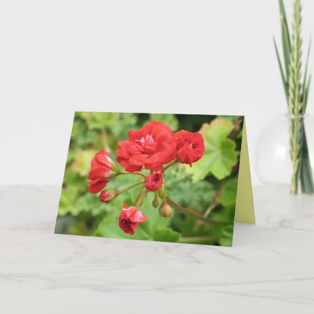 Geranium Card Karte (Vorderseite)