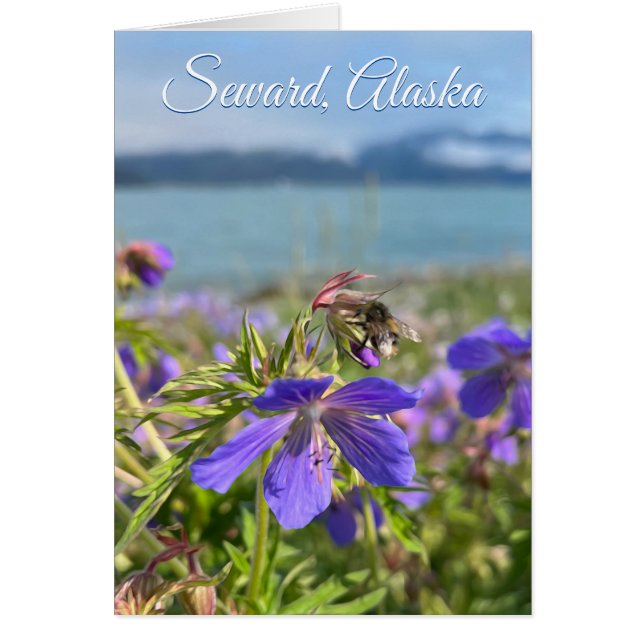Géranium d'égout - Carte d'art 5 po x 7 po (Devant)