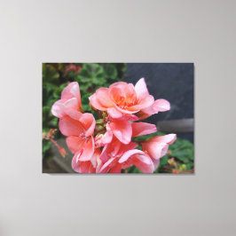 Geranium Garden Blume Canvas Print Leinwanddruck