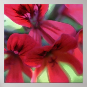 Geranium gestrichen poster