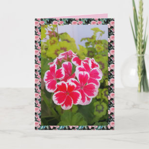 Geranium Pelargonium-Blüten-Garten floral Karte