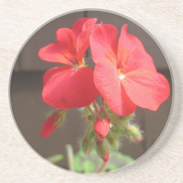 Geranium Red Untersetzer (Vorne)