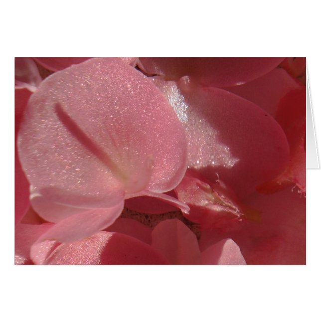 Géranium rose : presque solide Rose clair (Devant horizontal)