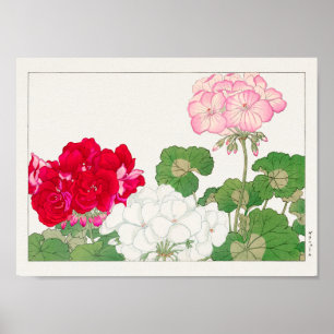 Geranium von Tanigami Konan Poster