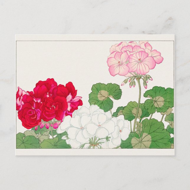 Geranium von Tanigami Konan Postkarte (Vorderseite)