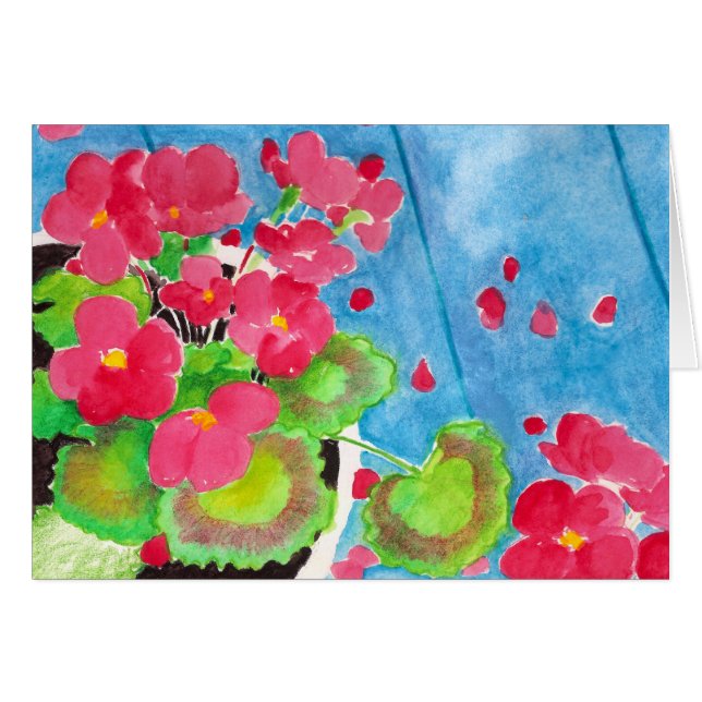 Géraniums (Devant horizontal)