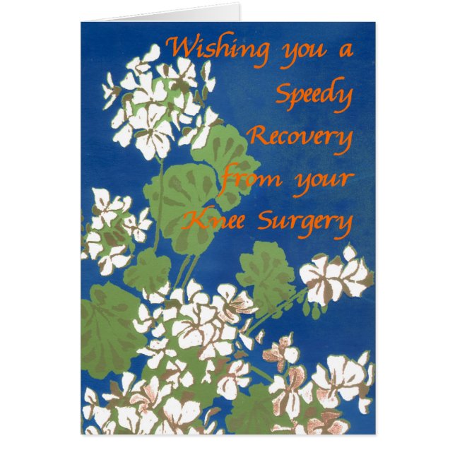 Geraniums blancs sur Blue Get Well Knee Surgery (Devant)