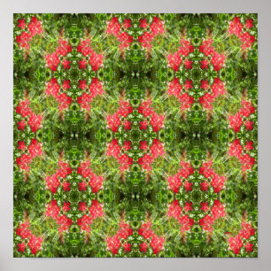 Geraniums Galore... Poster