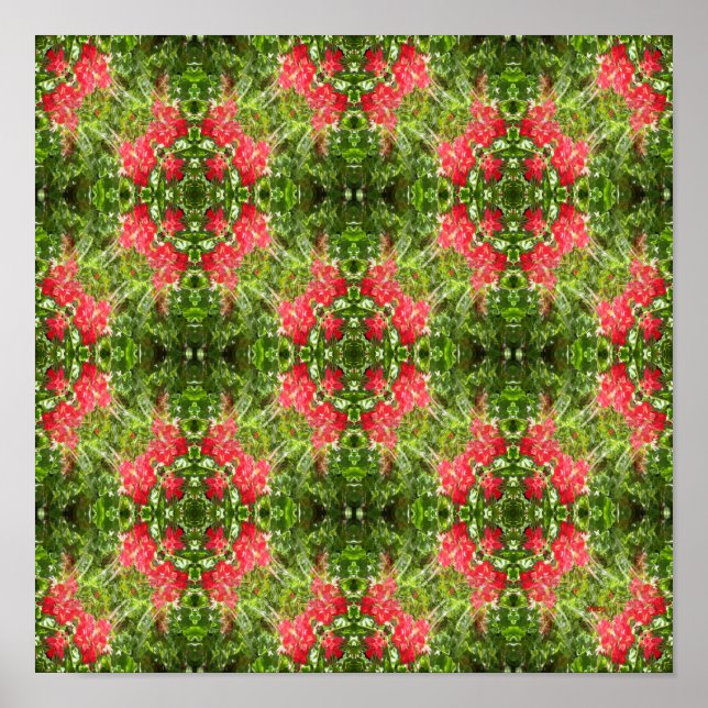 Geraniums Galore... Poster (Vorne)