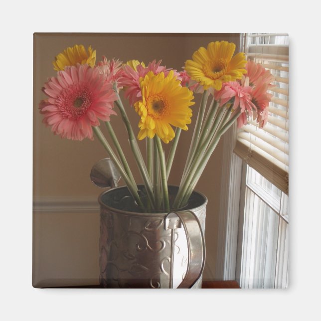 Gerber Daisies Magnet (Vorne)