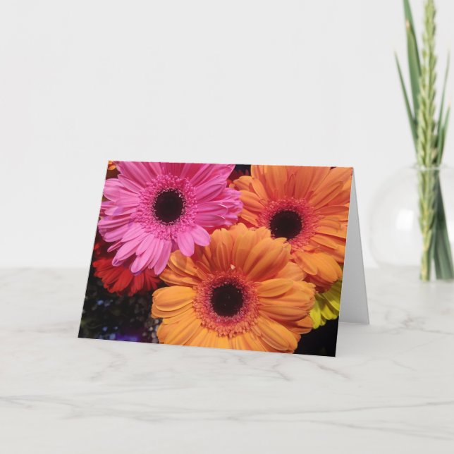 Gerber Daisies Orange Pink Note Card Set (Vorderseite)