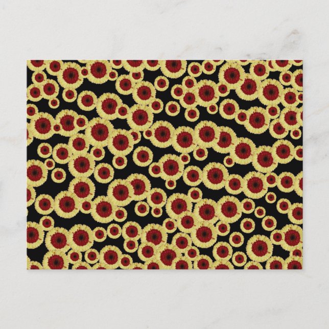 Gerber Daisies Postkarte (Vorderseite)