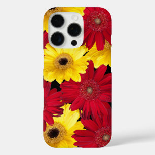 Gerber Daisy Blume Nah-Up Fotografy title_seo2