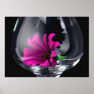 Gerber Daisy im Weinglas POSTER oder CARD