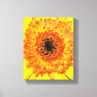 Gerber Daisy Leinwanddruck