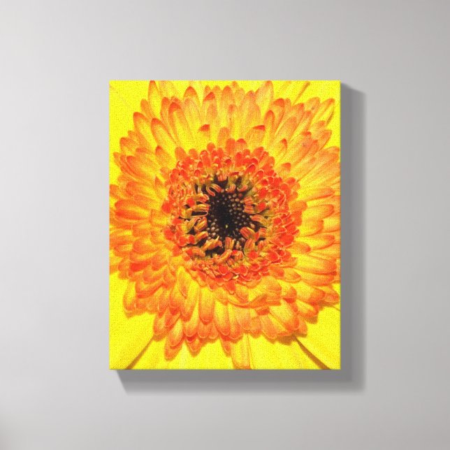 Gerber Daisy Leinwanddruck (Vorderseite)