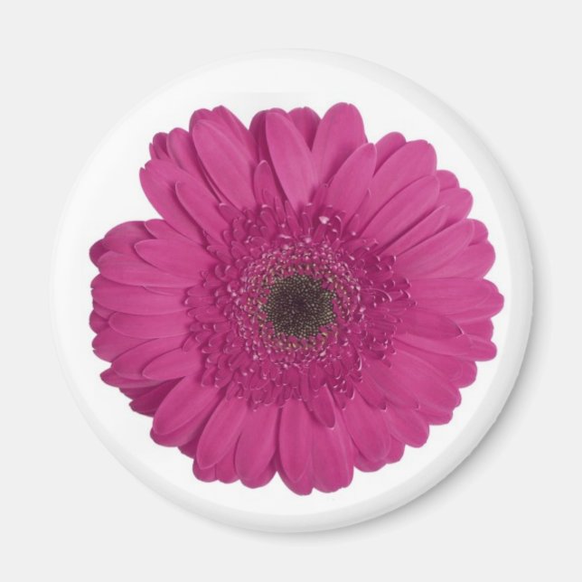 Gerber Daisy Magnet (Vorne)