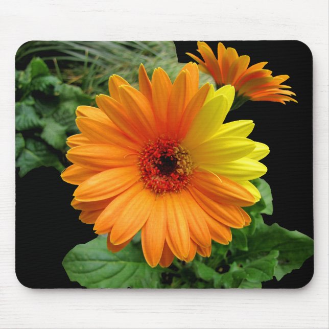 GERBER DAISY-MOUSEPAD MOUSEPAD (Vorne)