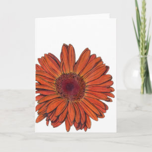 Gerbera All-Occasion Card Karte