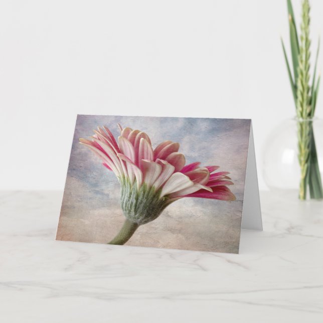 Gerbera-Blume Karte (Vorderseite)