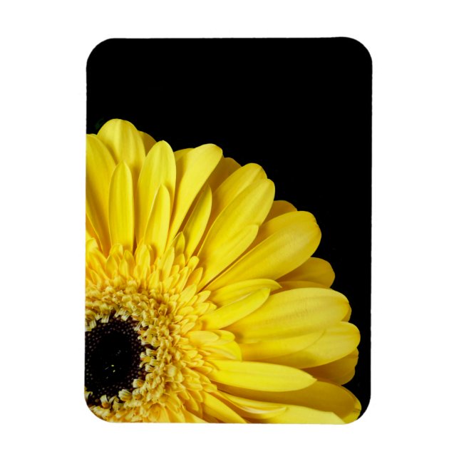 Gerbera Blume Magnet (Vertikal)