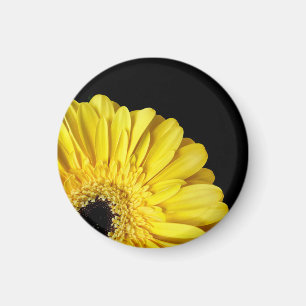 Gerbera Blume Magnet