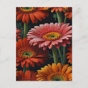 Gerbera-Blumen Postkarte