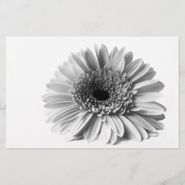 Gerbera Briefpapier (Vorderseite)
