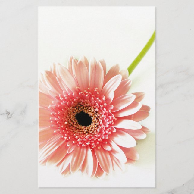 Gerbera Briefpapier (Vorderseite)