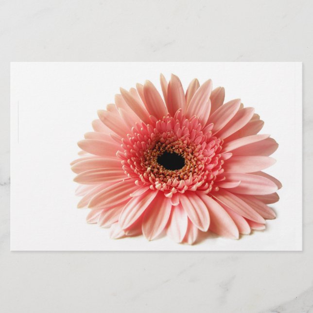 Gerbera Briefpapier (Vorderseite)