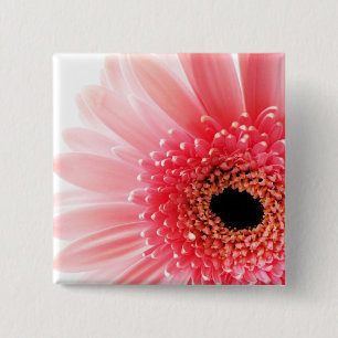 Gerbera Button