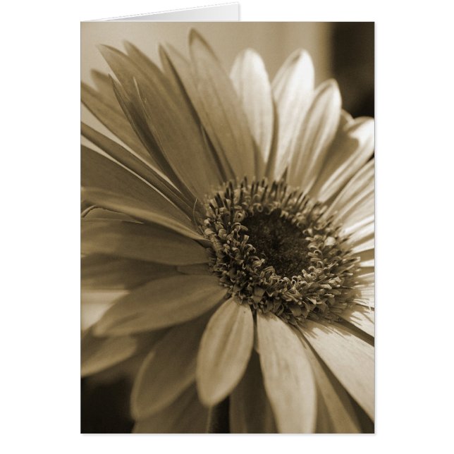 Gerbera Card (Vorne)